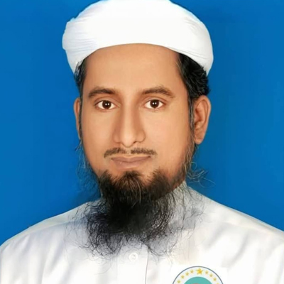 মো. আলমগীর হোসাইন এর ছবি