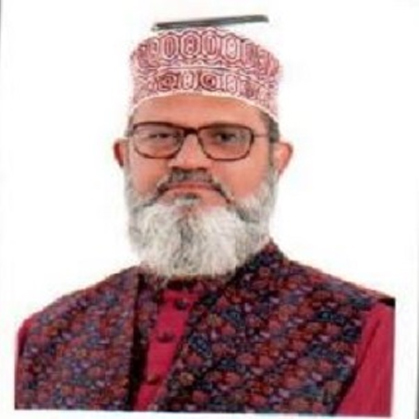 শামীম সাঈদী এর ছবি