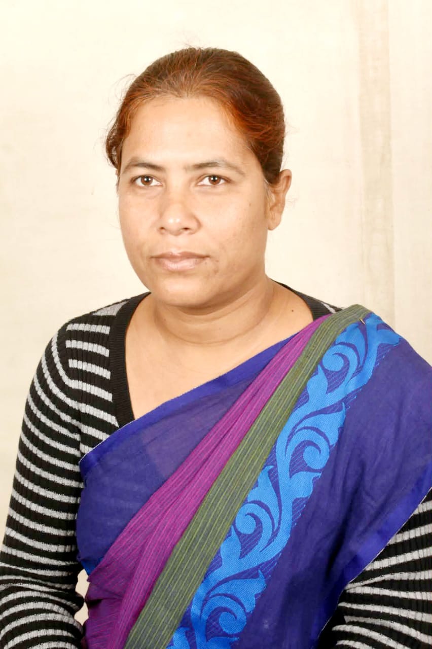 দিলরুবা এর ছবি