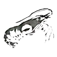 স্বতন্ত্র - চিংড়ি