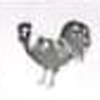 স্বতন্ত্র - মোরগ