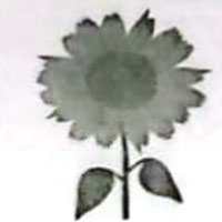 স্বতন্ত্র - সূর্যমুখী ফুল