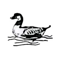 স্বতন্ত্র - হাঁস