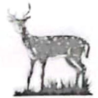 স্বতন্ত্র - হরিণ