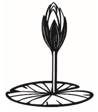 জাতীয় নাগরিক পার্টি-এনসিপি