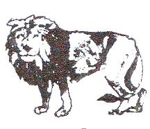 জাতীয়তাবাদী গণতান্ত্রিক আন্দোলন-এনডিএম - সিংহ