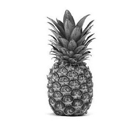 বাংলাদেশ লেবার পার্টি - আনারস