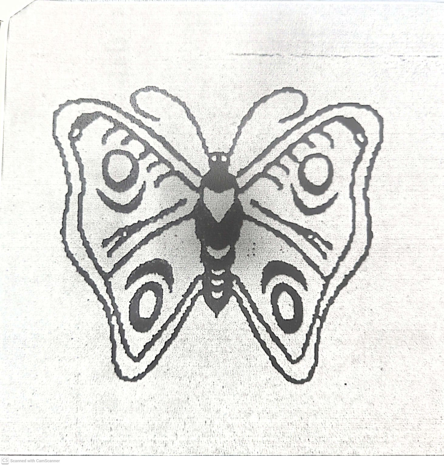 আমজনতার দল - প্রজাপতি